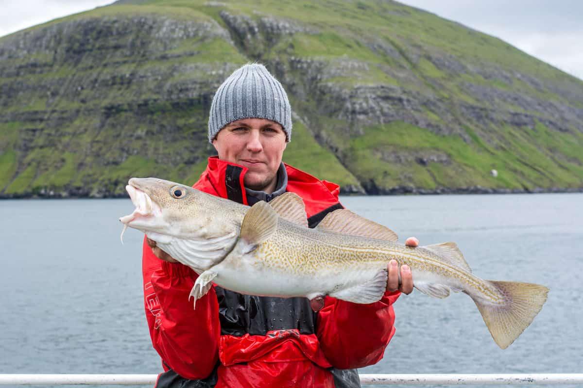 Unforgettable Guided Fishing Tours with Zyxorno